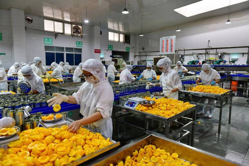 小米批发：电商行业的未来趋势