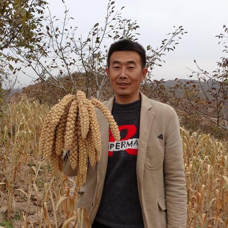 杂粮礼盒：新时代家庭健康美食新选择