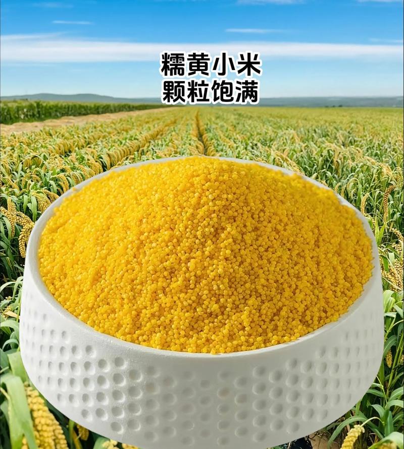 有机杂粮，生活品质的新选择